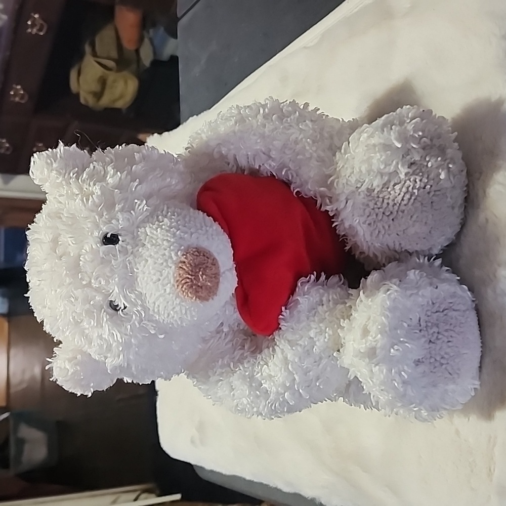 TEDDY BEAR 🧸  WITH RED HEART.